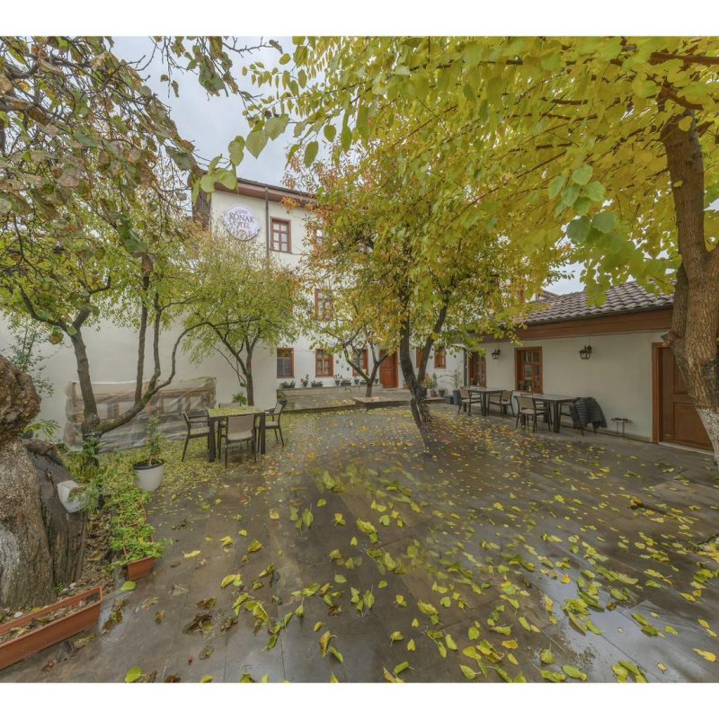 WhatsApp Image 2025-09-05 at 11.00.11 (1)