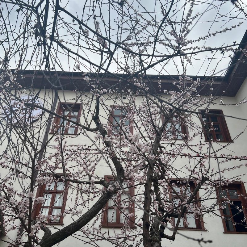 WhatsApp Image 2025-09-05 at 11.19.34 (39)