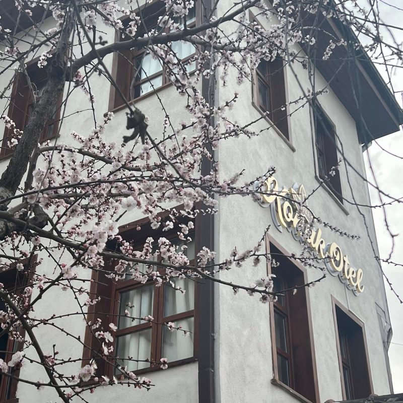 WhatsApp Image 2025-09-05 at 11.19.34 (40)